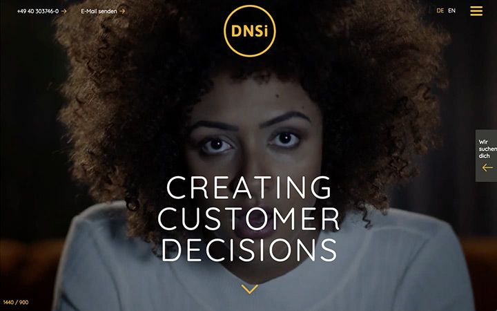 DNSI Website Screenshot